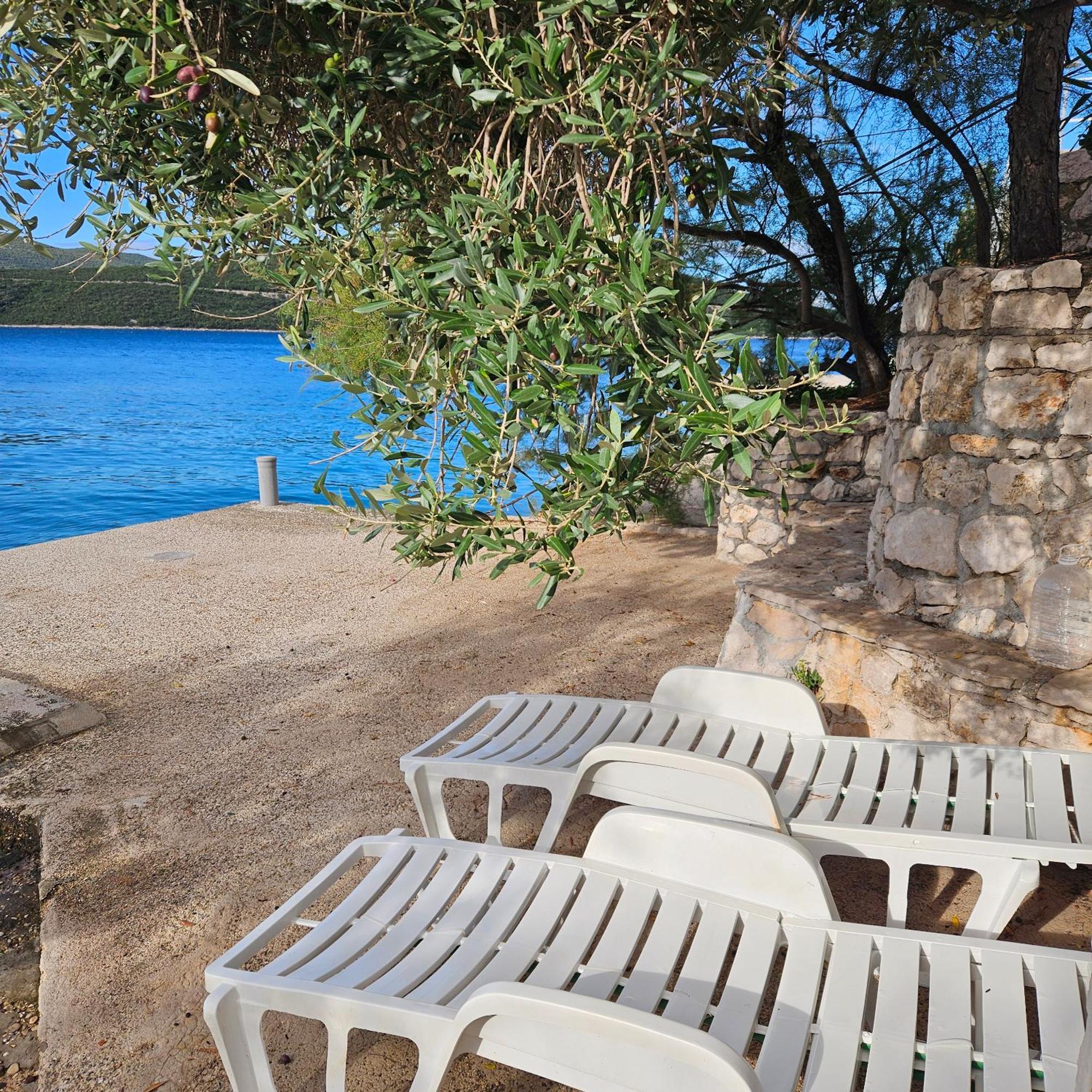 Apartments Cytrus Neum Bagian luar foto