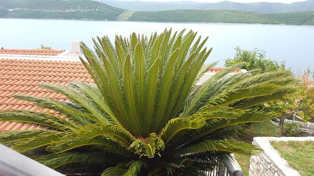 Apartments Cytrus Neum Bagian luar foto