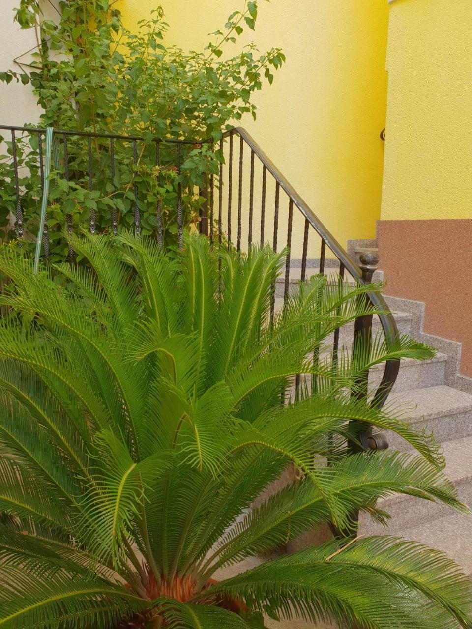 Apartments Cytrus Neum Bagian luar foto